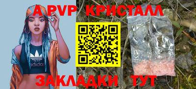 мдпв Бердск