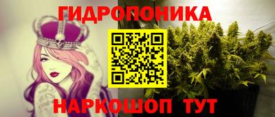 хмурый Белореченск