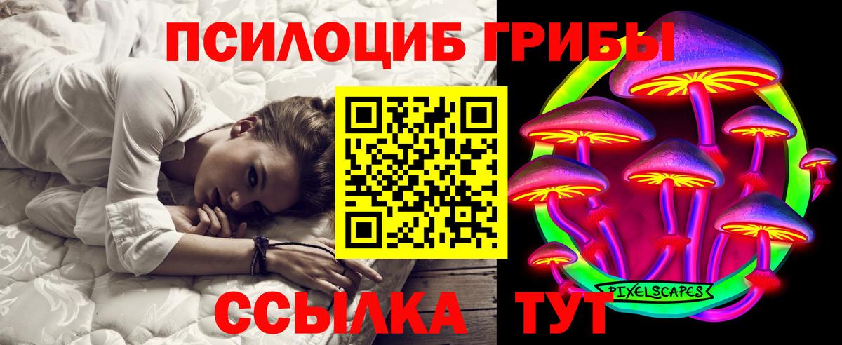 Галлюциногенные грибы ЛСД  Псилоцибиновые грибы Magic Shrooms  Чистополь  наркота  Вход с VPN 