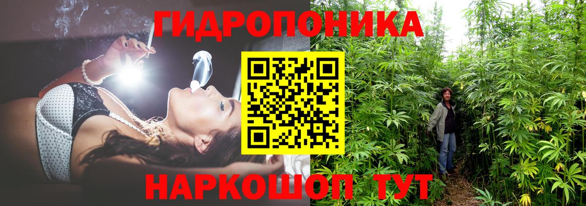 Бошки Шишки семена  Бошки Шишки Amnesia  Чистополь  Вход с VPN  Канабис AK-47 